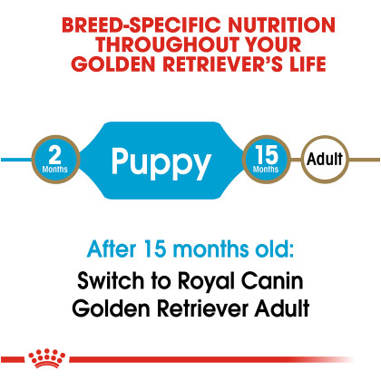 Golden Retriever Puppy Dry Dog Food