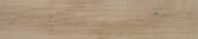 Umbra Pine 12×60 Field Tile Rectified