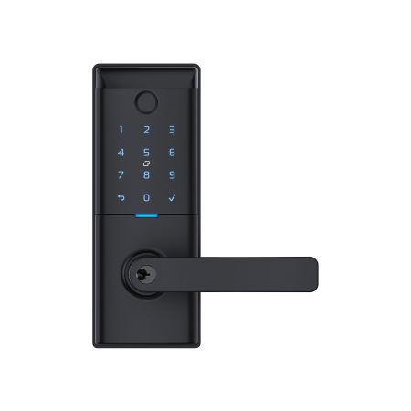 Ascent Smart Entrance Lever