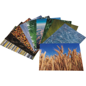 Nature Around Us Printed Craft Paper, 11.7 x 8.3 in, 40 Sheets