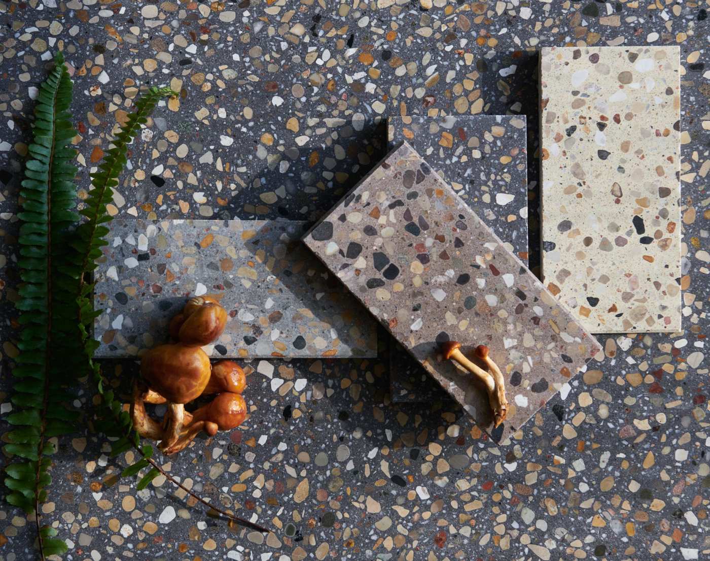 a group of stones and ferns on a terrazzo patterned stone surface.