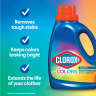 Clorox,  Clorox 2 Laundry Stain Remover and Color Booster,  33 fl oz Bottle