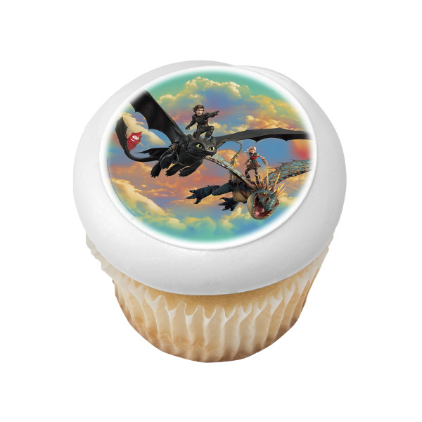 DreamWorks How to Train Your Dragon PhotoCake® Edible Image®