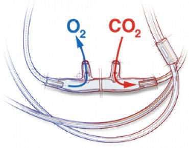 Sun Med Divided CO2 Sampling/O2 Delivery Capnography Cannula