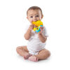 Fruit Vibes Teether™