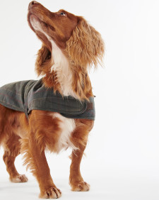 Tartan Waxed Dog Coat 