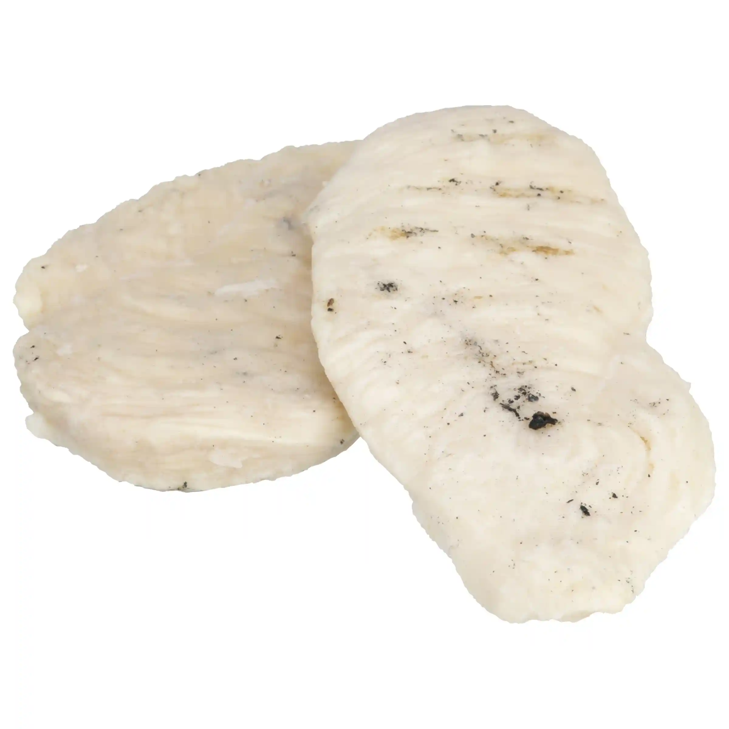 Tyson Red Label® Fully Cooked Unbreaded Grilled Chicken Breast Filets, 4 oz._image_2