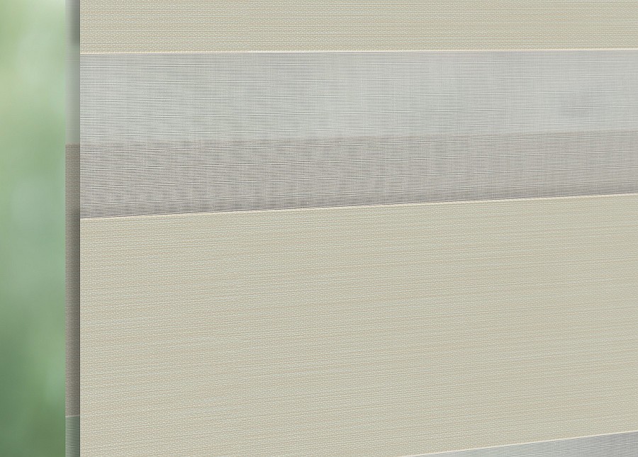 Tours 2195 Duo roller blinds