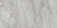 Amica Ardesia 24×48 Field Tile Honed Rectified