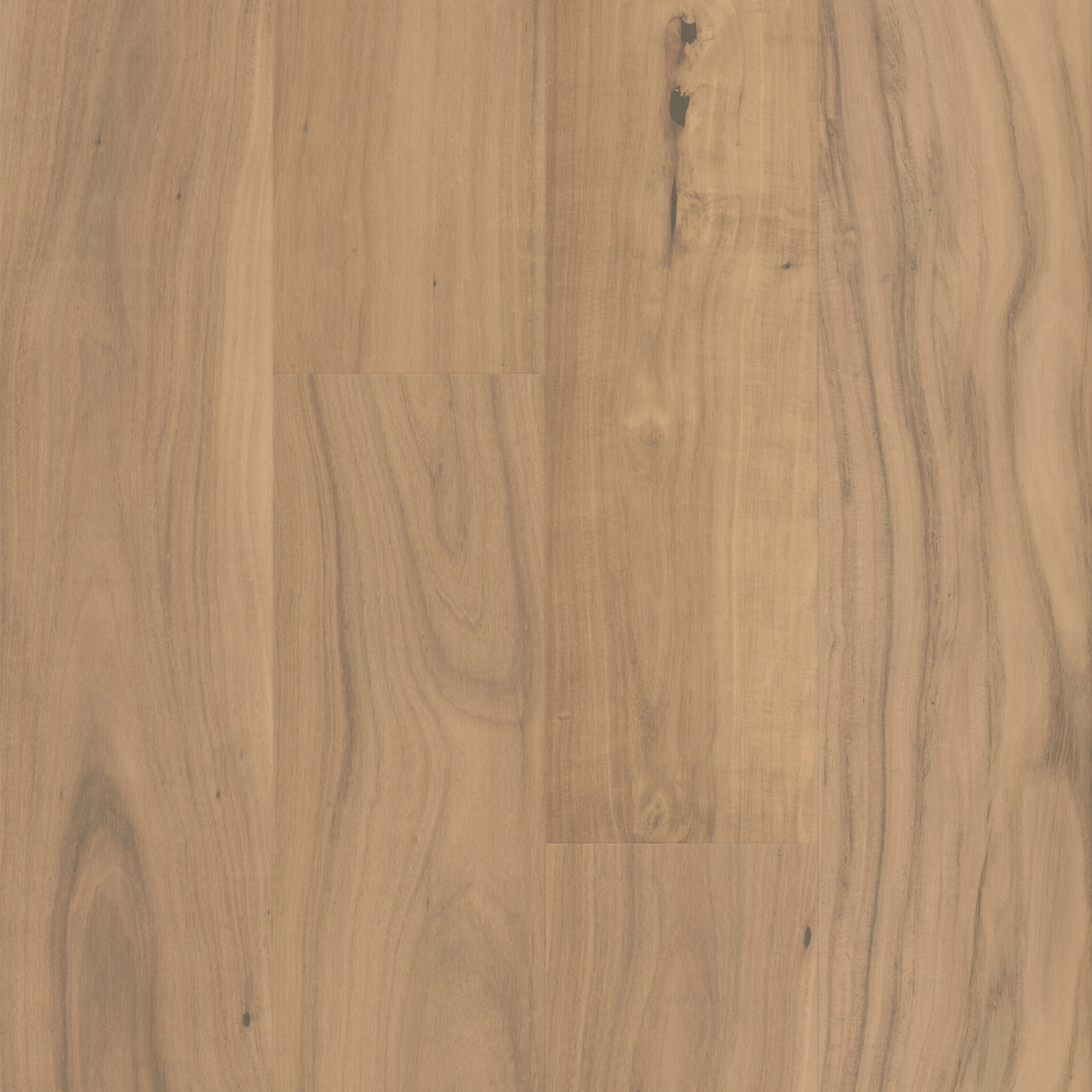 Clarified Acacia Varietals Threshold view 4