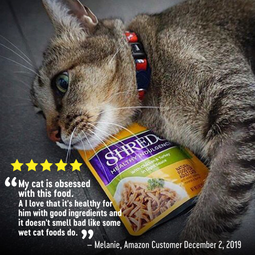 The benefits of Wellness Complete Health Healthy Indulgence Shreds Chicken & Turkey