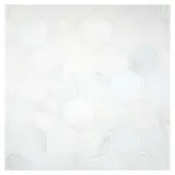 Stone Mosaic Collection Asian Carrara Ultra Premium Honed 2″ Hexagon Mosaic Honed