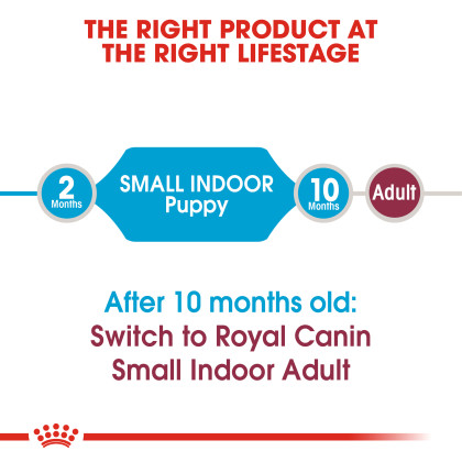 Small Indoor Puppy Dry Dog Food