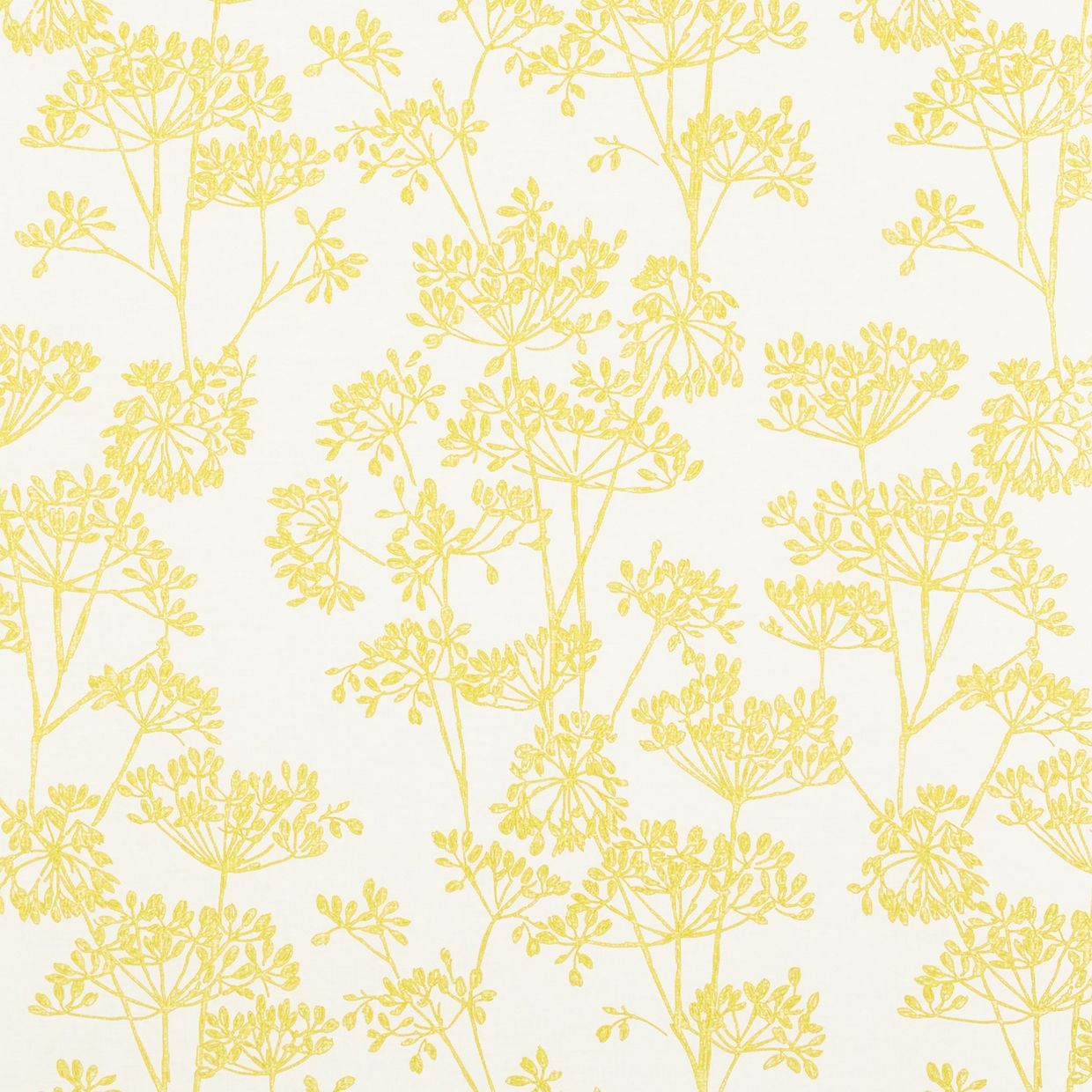 Polly Honey Conservatory Roller blind