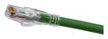 Hubbell Premise Wiring Products Copper Solutions Patch Cords AscentCat6A Slim 3' Length Green