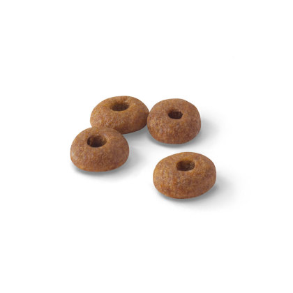 Regular Fit 32 kibble