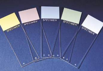 Superfrost™ Plus Microscope Slide