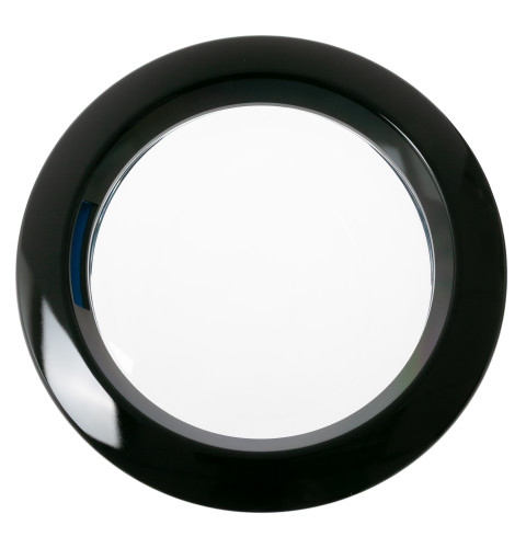 Washer Door Assembly