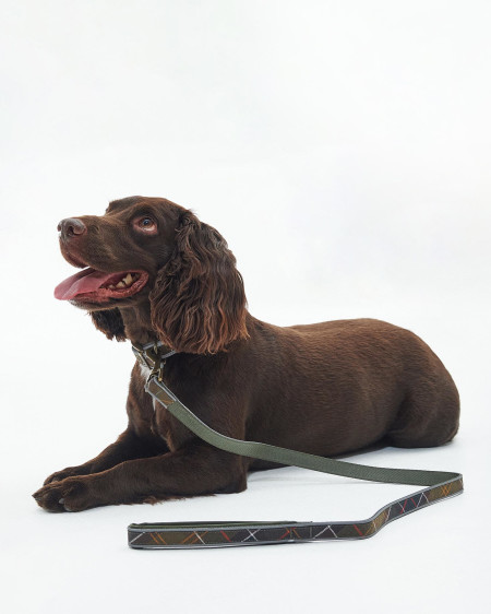 Reflective Tartan Comfort Dog Lead