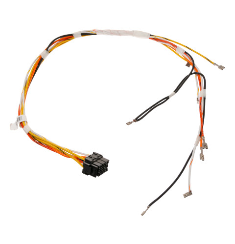 Main Wire Harness Lt