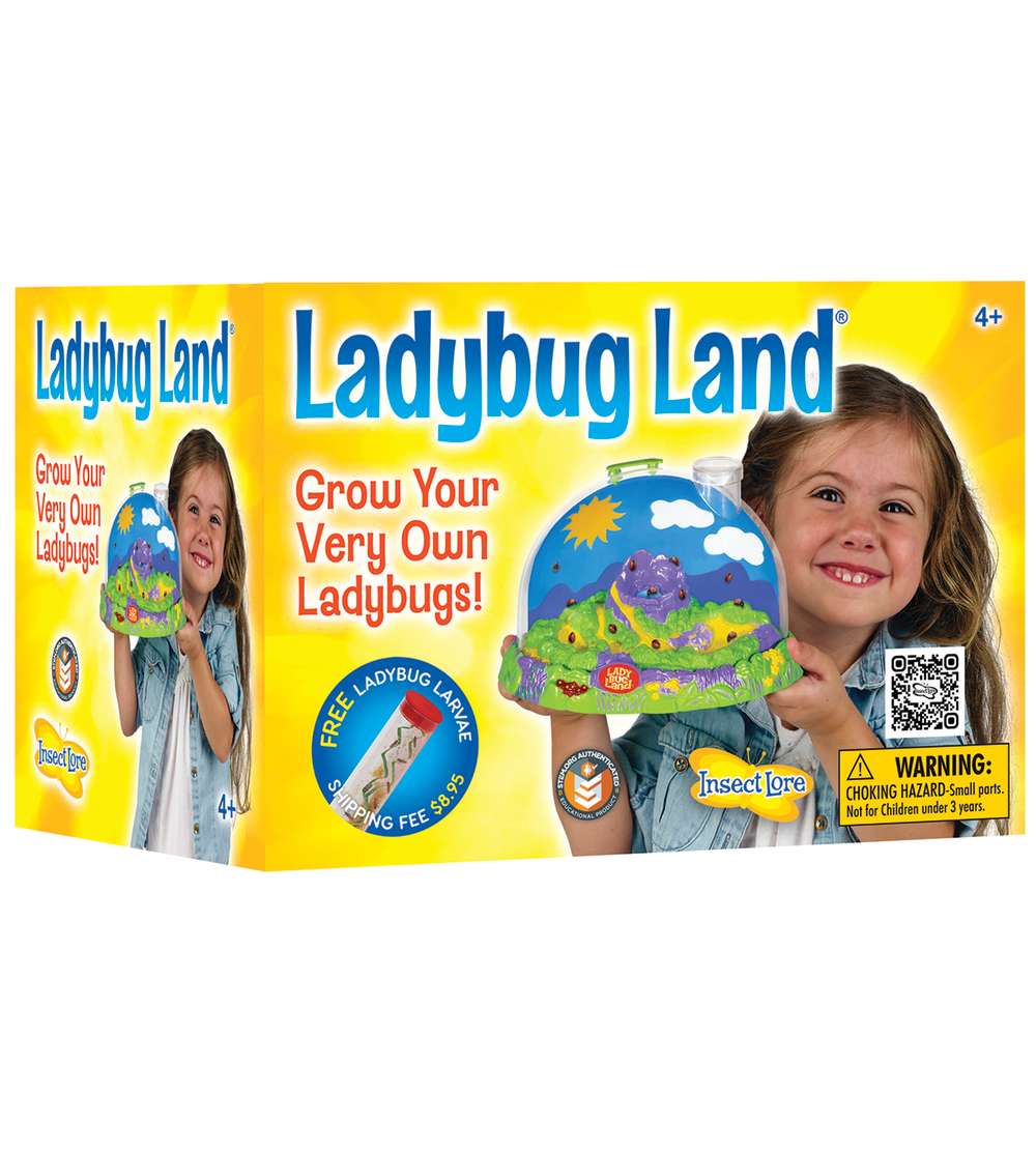 s--qdy2QwNj--/zgwhectjwfcgnnsq1for.jpg