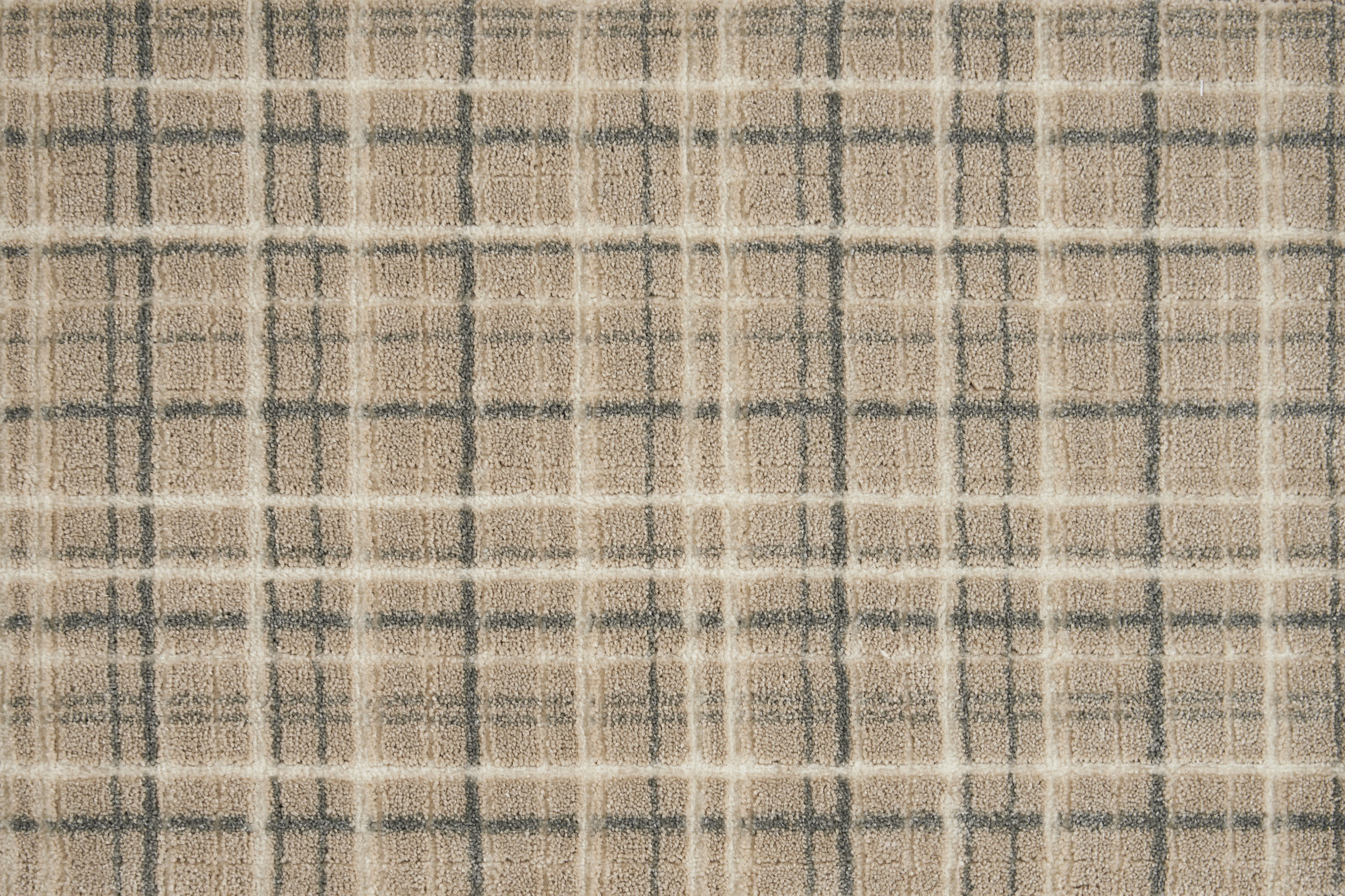 color-rug1