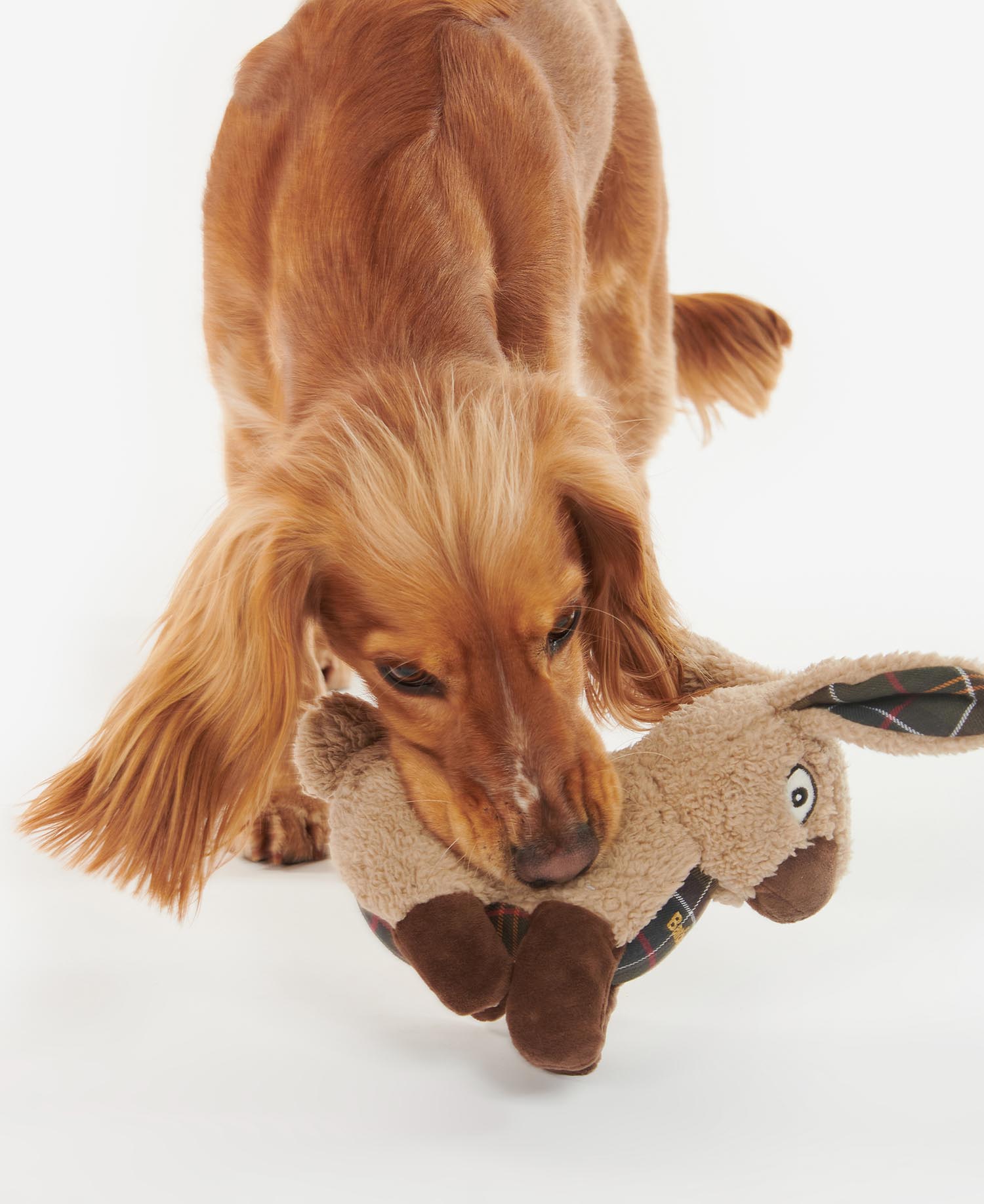 Gioco per cani coniglio image number 5