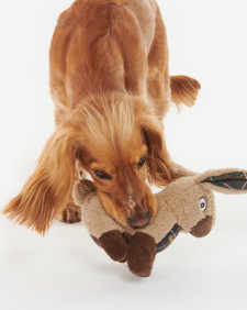 Gioco per cani coniglio 