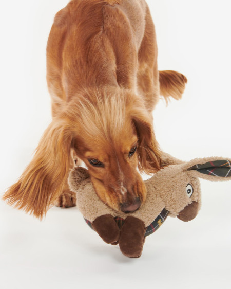 Gioco per cani coniglio