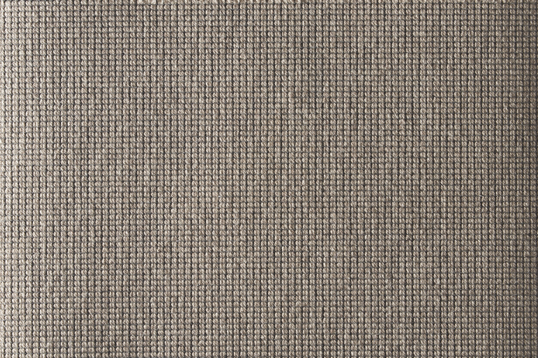 color-rug1