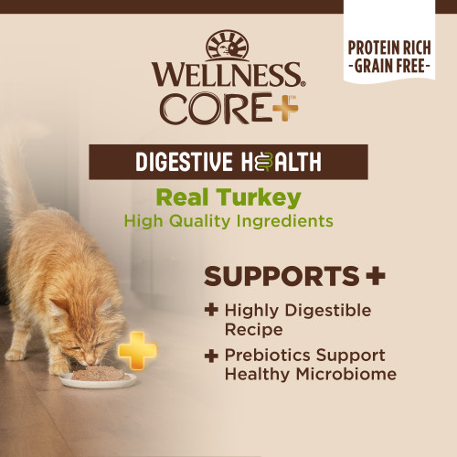 The benifts of Wellness CORE+ Digestive Health Turkey