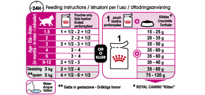 Kitten in Jelly feeding guide