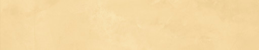 Join Mango 5×24 Field Tile Soft Rectified