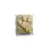 Tyson Red Label® NAE Frozen Uncooked Golden Crispy Breaded Chicken Breast Filets, 5 oz_image_11