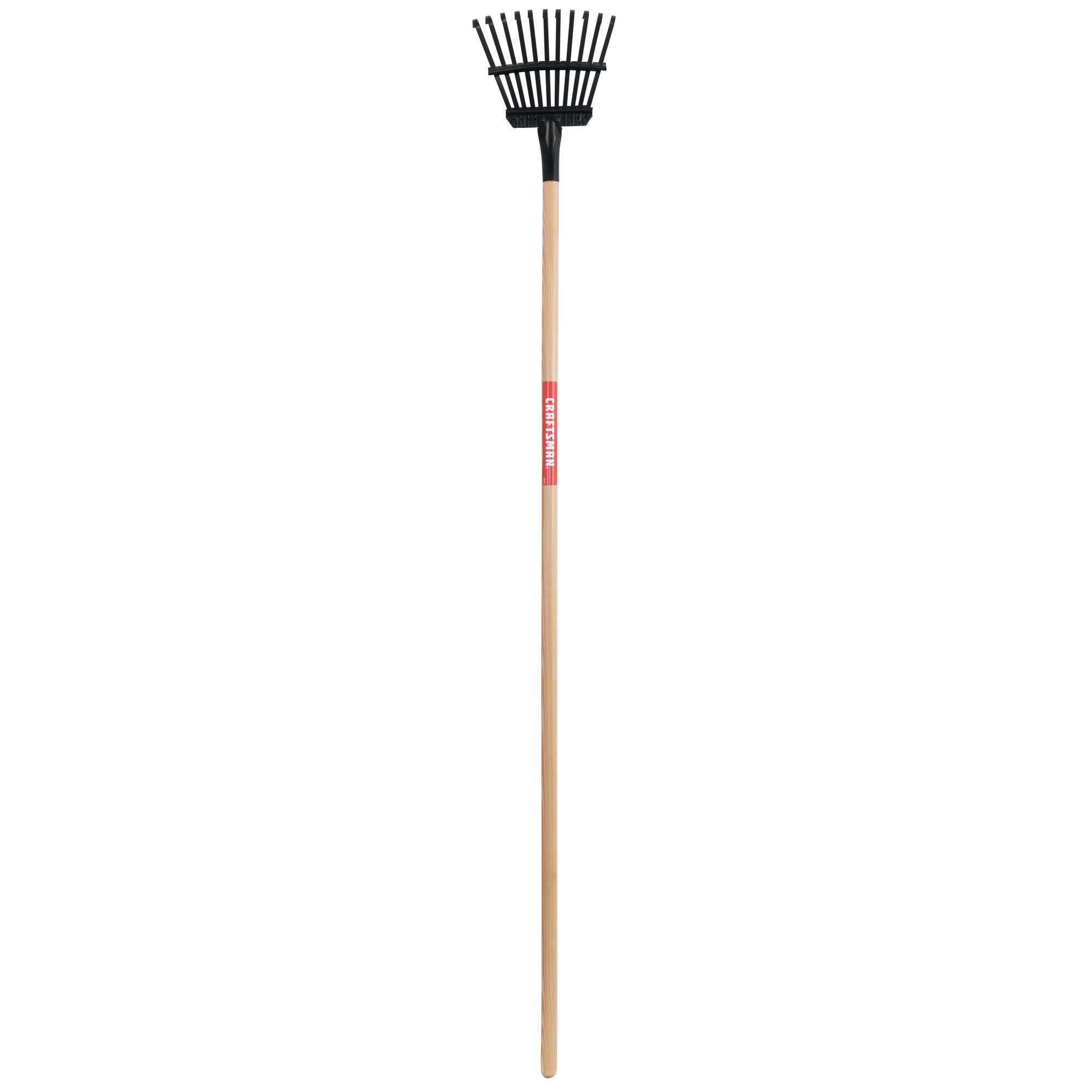 Profile of 11 tine wood handle shrub rake.