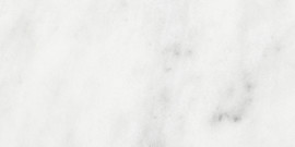 Bianco Venatino 3×6 Field Tile Tile Polished