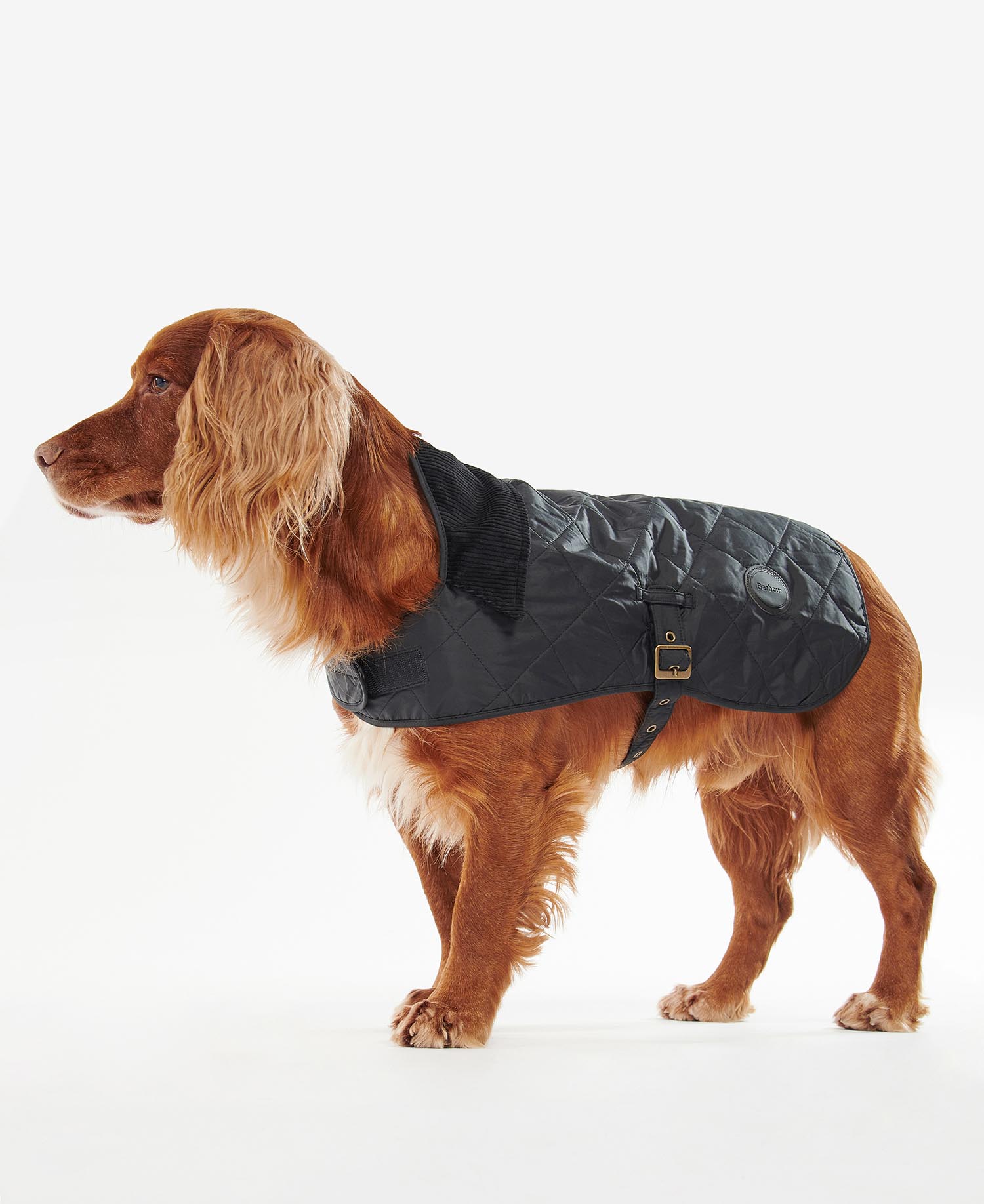 Quilted Dog Coat image number 0