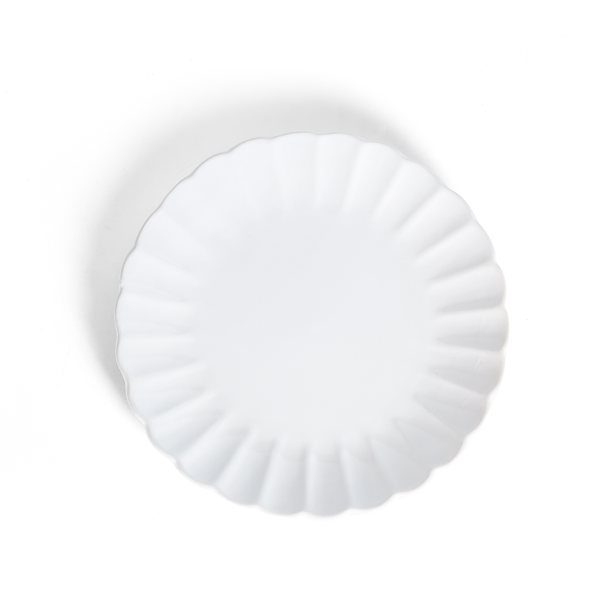 10.75 inches Dinner Plates