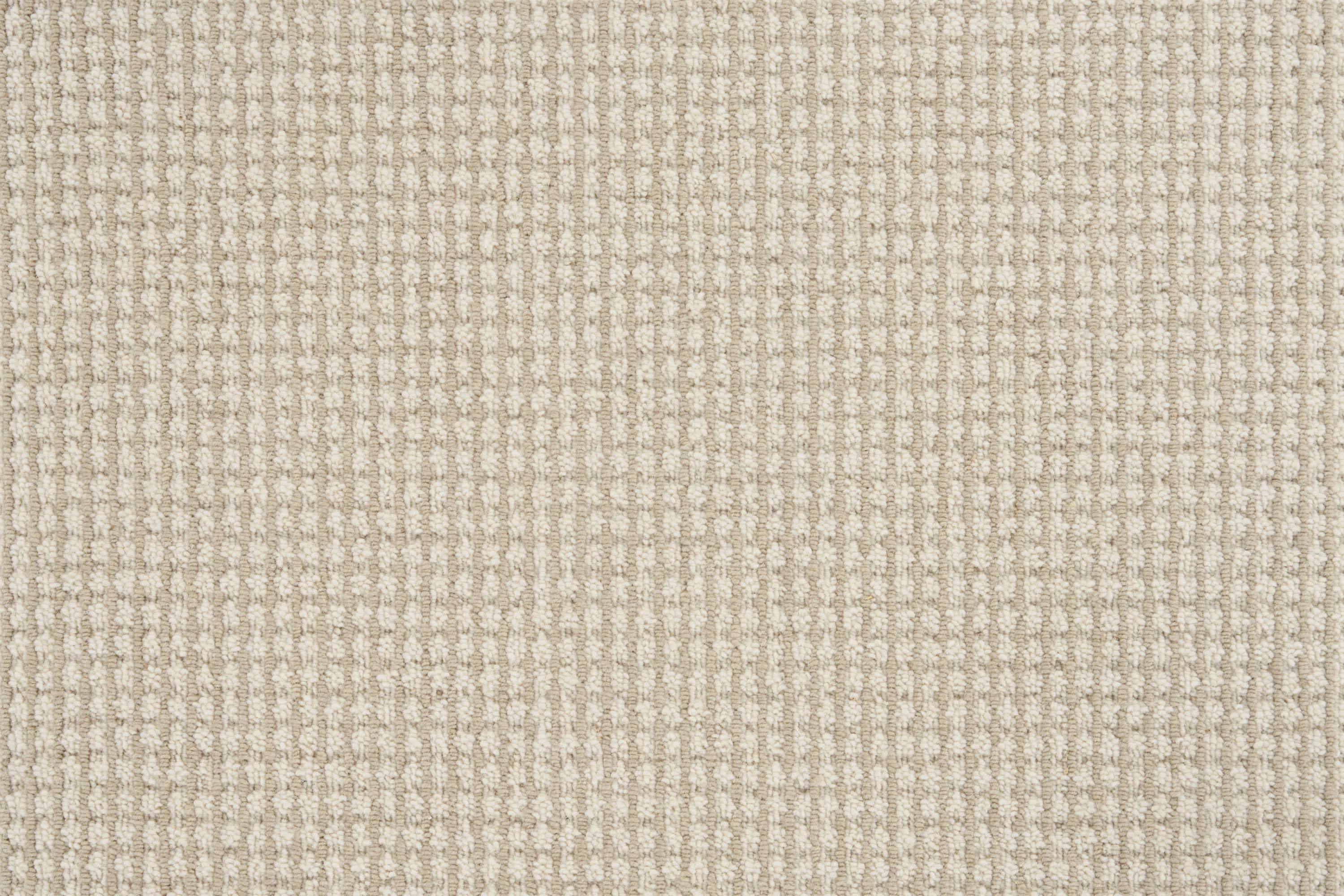 color-rug1