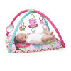 Charming Chirps™ Activity Gym