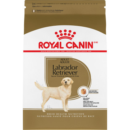 Royal Canin Breed Health Nutrition Labrador Retriever Adult Dry Dog Food