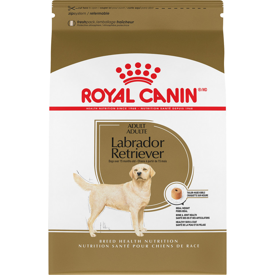 Labrador Retriever Adult Dry Dog Food Royal Canin