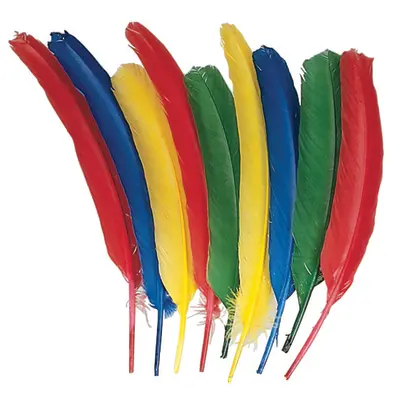 Creativity Street  Quill Feathers, Assorted Colors,  12", 24 Pieces