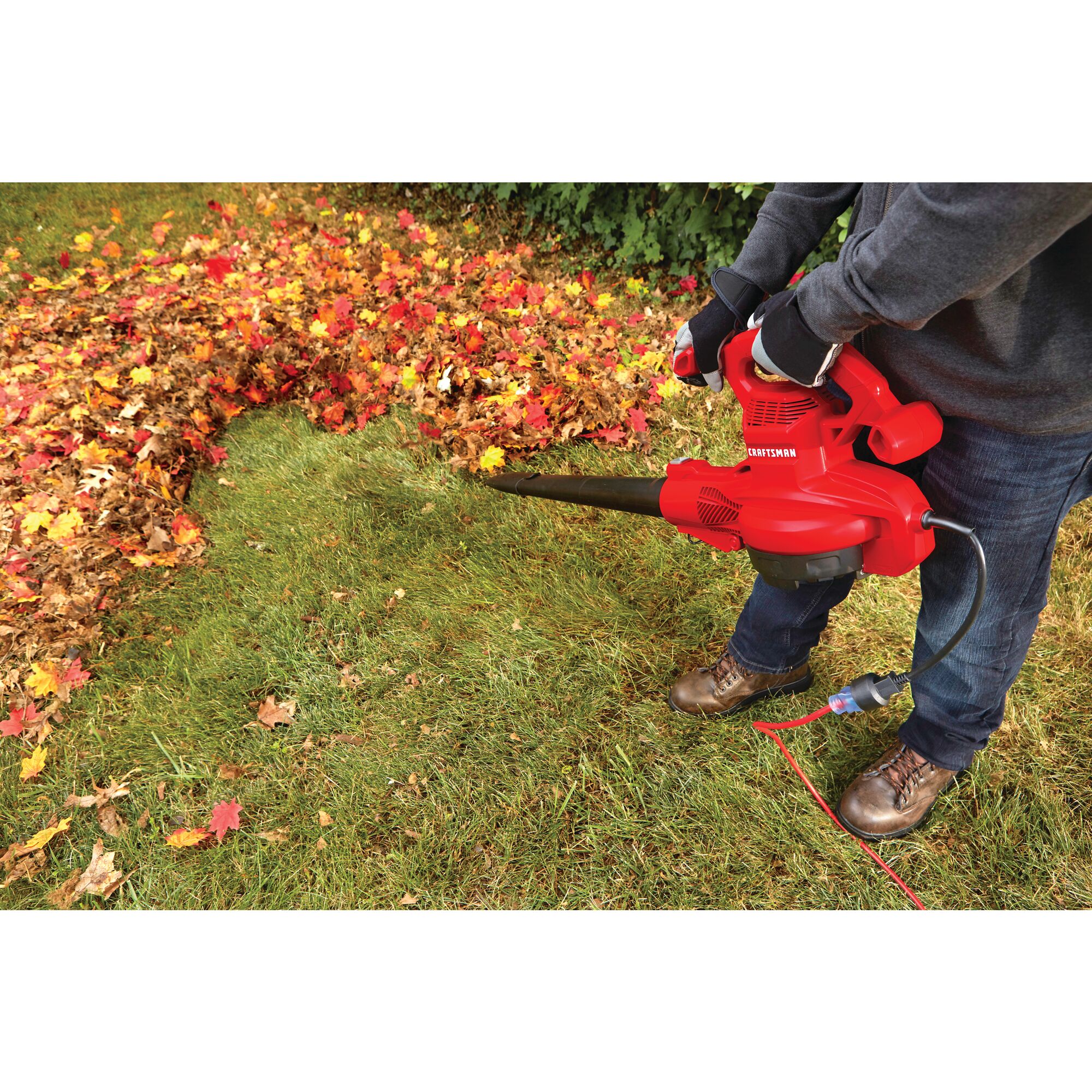 View of CRAFTSMAN Leaf Blowers  being used by consumer