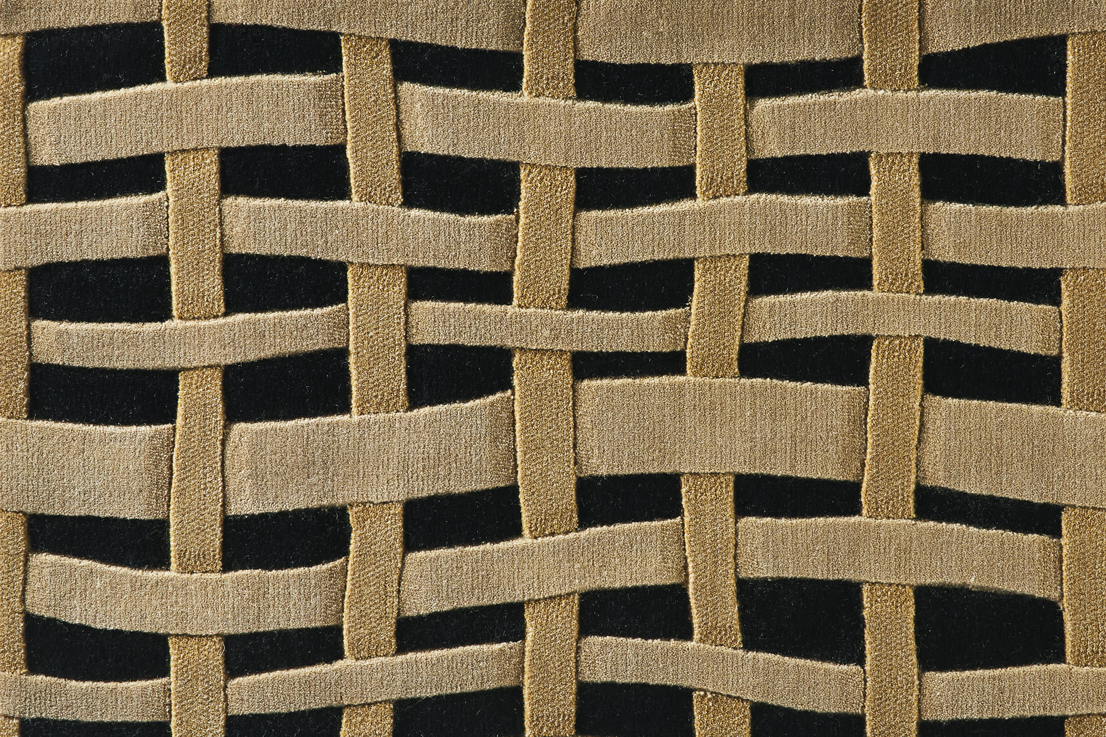 color-rug1