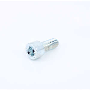 Screw
