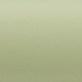 Smooth pale sage-green wall filling the frame, evenly lit and unadorned, serving as a neutral background with soft diffuse lighting and no visible architectural details or furnishings.