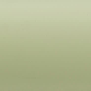 Smooth pale sage-green wall filling the frame, evenly lit and unadorned, serving as a neutral background with soft diffuse lighting and no visible architectural details or furnishings.