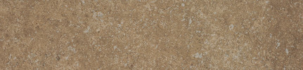 Bluestone Arizona Brown 6×24 Field Tile Honed Rectified