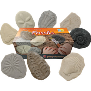 Let's Investigate Fossil Stone, Pack of 8